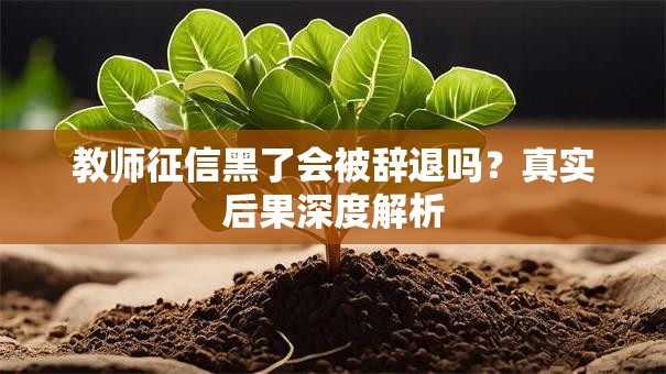 教师征信黑了会被辞退吗？真实后果深度解析