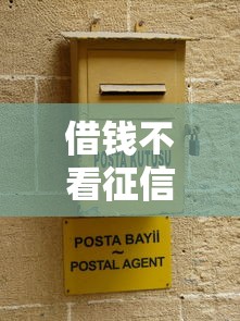 借钱不看征信的软件靠谱吗？深度解析使用风险与替代方案