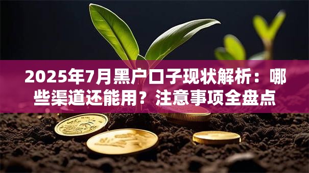 2025年7月黑户口子现状解析：哪些渠道还能用？注意事项全盘点