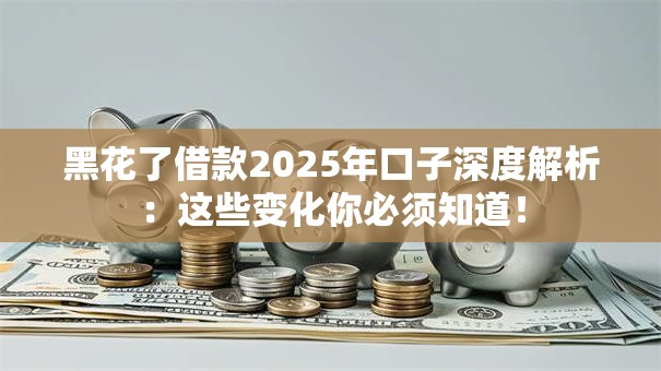 黑花了借款2025年口子深度解析：这些变化你必须知道！