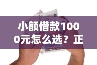 小额借款1000元怎么选？正规贷款平台避坑指南来了！