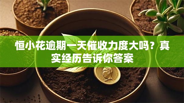 恒小花逾期一天催收力度大吗？真实经历告诉你答案