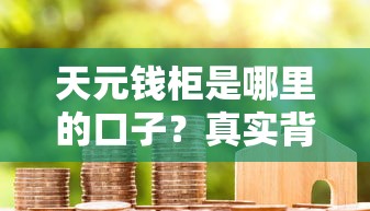 天元钱柜是哪里的口子？真实背景与用户评价解析