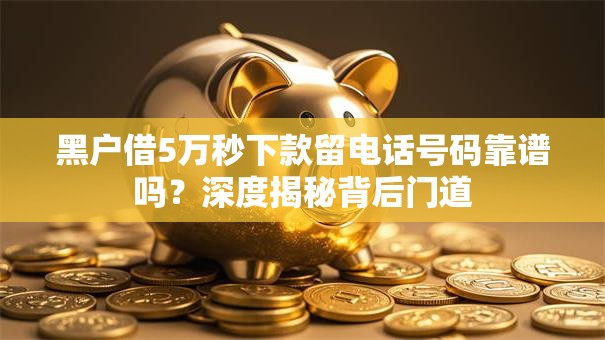 黑户借5万秒下款留电话号码靠谱吗？深度揭秘背后门道