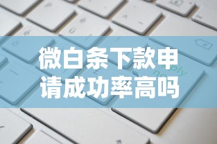 微白条下款申请成功率高吗？实测经验分享