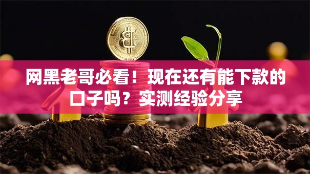网黑老哥必看！现在还有能下款的口子吗？实测经验分享