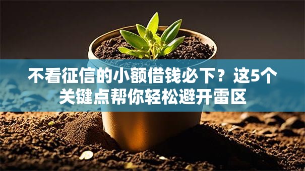 不看征信的小额借钱必下?这5个关键点帮你轻松避开雷区 不看征信的小额借钱必下?这5个关键点帮你轻松避开雷区