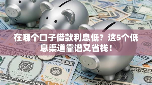 在哪个口子借款利息低？这5个低息渠道靠谱又省钱！