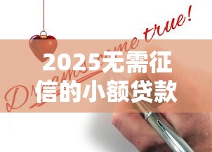 2025无需征信的小额贷款真的靠谱吗?一文看懂申请攻略 2025无需征信的小额贷款真的靠谱吗?一文看懂申请攻略