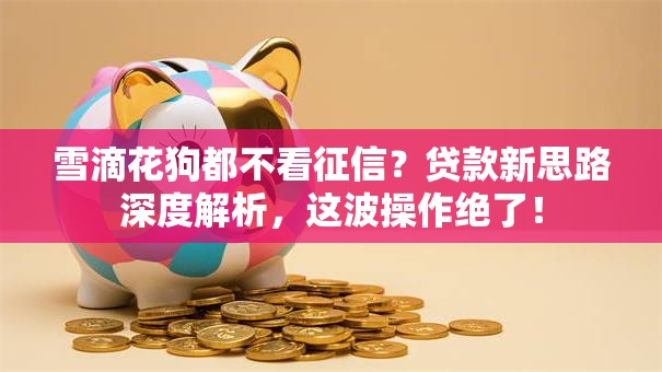雪滴花狗都不看征信？贷款新思路深度解析，这波操作绝了！