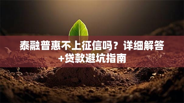 泰融普惠不上征信吗？详细解答+贷款避坑指南