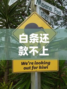 白条还款不上征信吗?这三点你必须知道! 白条还款不上征信吗?这三点你必须知道!