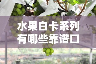 水果白卡系列有哪些靠谱口子?实测5款热门产品对比 水果白卡系列有哪些靠谱口子?实测5款热门产品对比