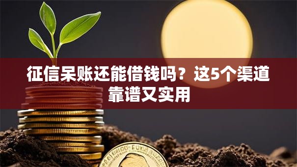 征信呆账还能借钱吗？这5个渠道靠谱又实用