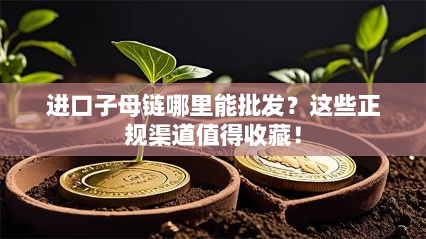 进口子母链哪里能批发？这些正规渠道值得收藏！