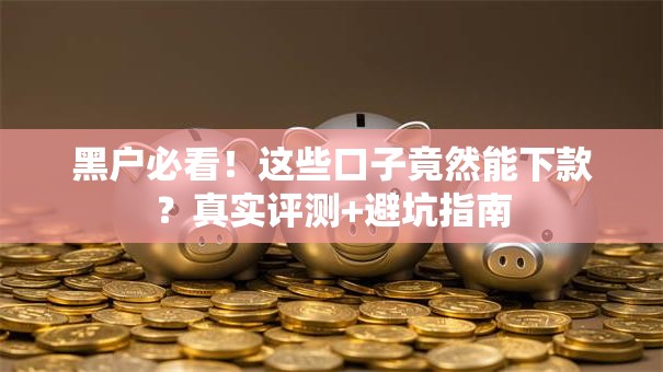 黑户必看！这些口子竟然能下款？真实评测+避坑指南