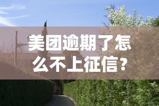 美团逾期了怎么不上征信？真实规则与协商技巧大解析