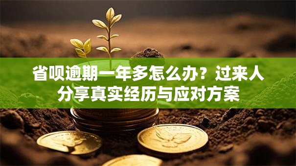 省呗逾期一年多怎么办？过来人分享真实经历与应对方案