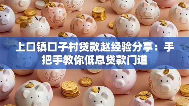 上口镇口子村贷款赵经验分享：手把手教你低息贷款门道