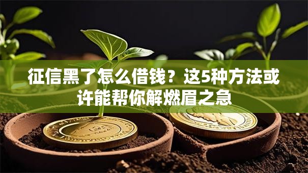 征信黑了怎么借钱？这5种方法或许能帮你解燃眉之急