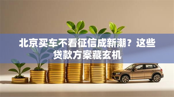 北京买车不看征信成新潮？这些贷款方案藏玄机