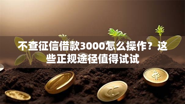不查征信借款3000怎么操作？这些正规途径值得试试