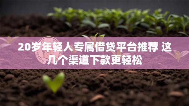 20岁年轻人专属借贷平台推荐 这几个渠道下款更轻松