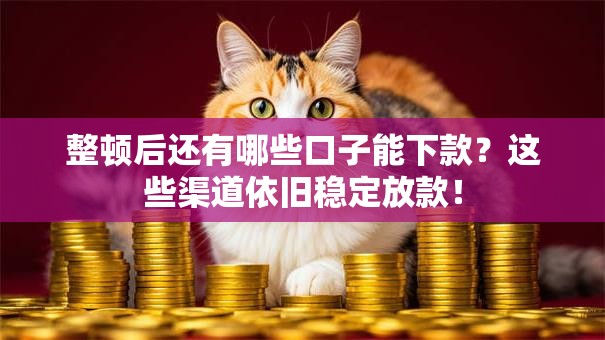 整顿后还有哪些口子能下款？这些渠道依旧稳定放款！