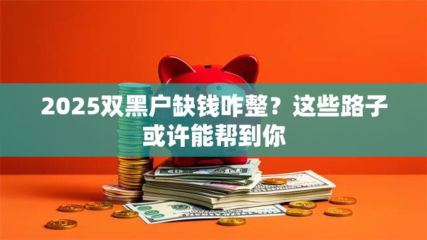 2025双黑户缺钱咋整？这些路子或许能帮到你