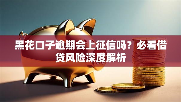 黑花口子逾期会上征信吗？必看借贷风险深度解析
