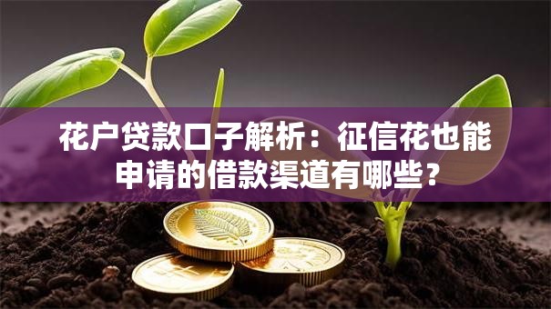 花户贷款口子解析：征信花也能申请的借款渠道有哪些？
