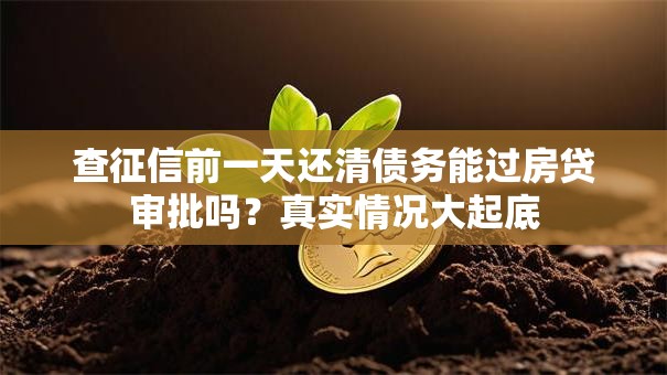 查征信前一天还清债务能过房贷审批吗?真实情况大起底 查征信前一天还清债务能过房贷审批吗?真实情况大起底