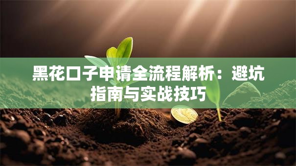 黑花口子申请全流程解析：避坑指南与实战技巧