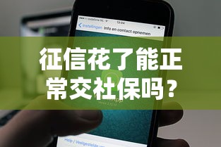 征信花了能正常交社保吗？贷款影响全解析