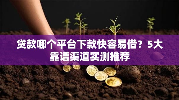 贷款哪个平台下款快容易借?5大靠谱渠道实测推荐 贷款哪个平台下款快容易借?5大靠谱渠道实测推荐
