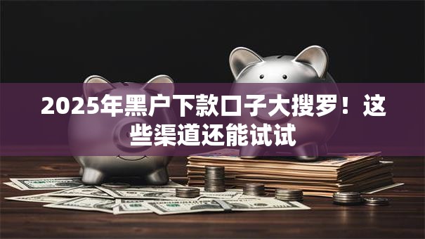 2025年黑户下款口子大搜罗！这些渠道还能试试