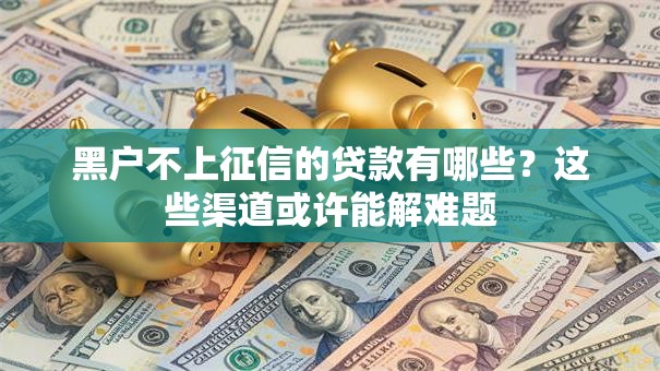 黑户不上征信的贷款有哪些？这些渠道或许能解难题
