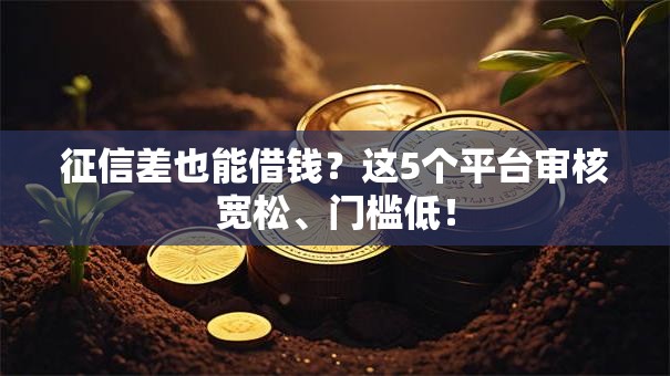 征信差也能借钱？这5个平台审核宽松、门槛低！