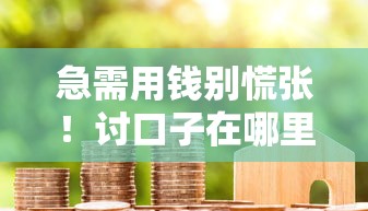 急需用钱别慌张!讨口子在哪里讨钱呢?贷款渠道选择全攻略 急需用钱别慌张!讨口子在哪里讨钱呢?贷款渠道选择全攻略