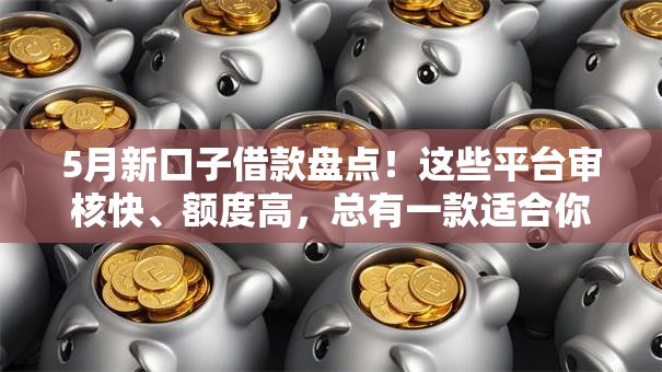 5月新口子借款盘点！这些平台审核快、额度高，总有一款适合你