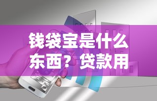 钱袋宝是什么东西?贷款用户必看的平台解析与避坑指南 钱袋宝是什么东西?贷款用户必看的平台解析与避坑指南