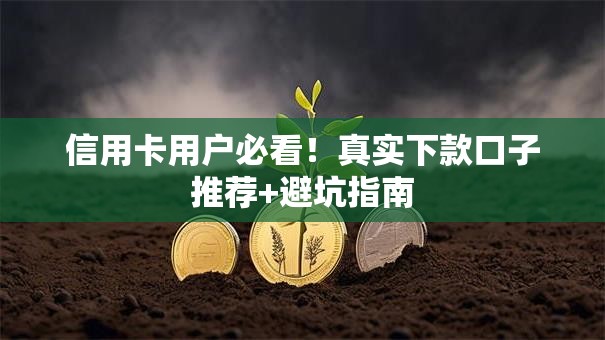 信用卡用户必看!真实下款口子推荐+避坑指南 信用卡用户必看!真实下款口子推荐+避坑指南