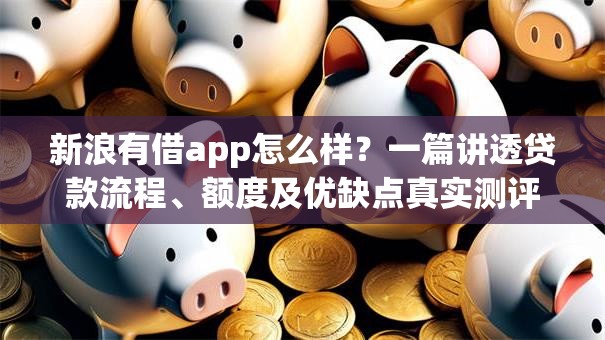 新浪有借app怎么样?一篇讲透贷款流程、额度及优缺点真实测评! 新浪有借app怎么样?一篇讲透贷款流程、额度及优缺点真实测评!