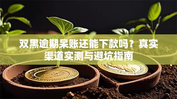 双黑逾期呆账还能下款吗?真实渠道实测与避坑指南 双黑逾期呆账还能下款吗?真实渠道实测与避坑指南