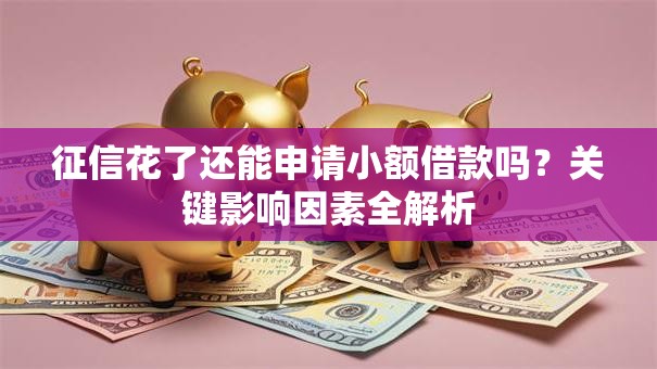 征信花了还能申请小额借款吗？关键影响因素全解析