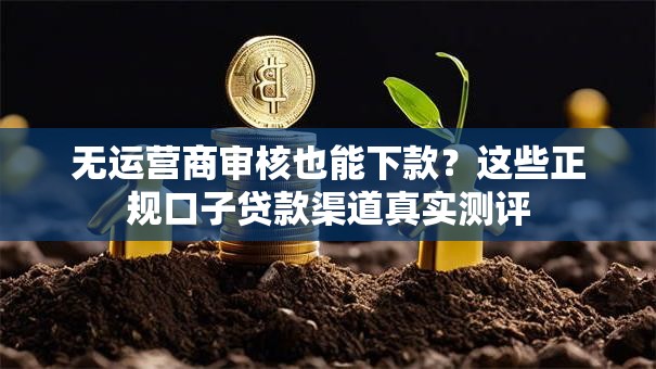 无运营商审核也能下款？这些正规口子贷款渠道真实测评