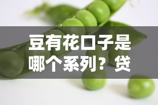 豆有花口子是哪个系列？贷款产品解析必看！