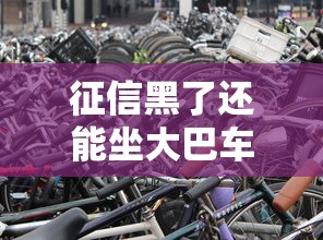 征信黑了还能坐大巴车吗？真实解答看这里！