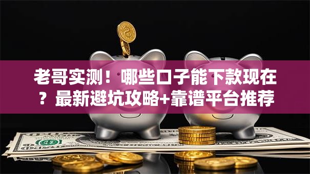 老哥实测！哪些口子能下款现在？最新避坑攻略+靠谱平台推荐