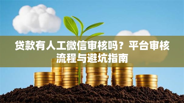 贷款有人工微信审核吗？平台审核流程与避坑指南